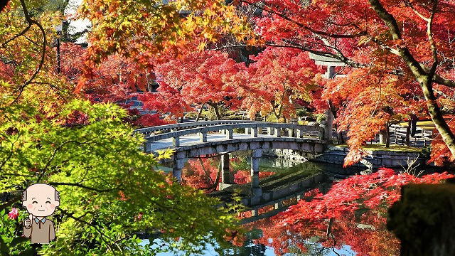 永観堂の紅葉