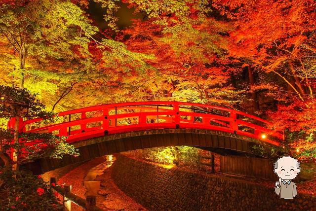 北野天満宮の紅葉