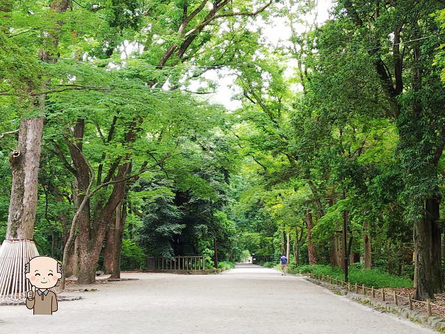 下鴨神社の境内