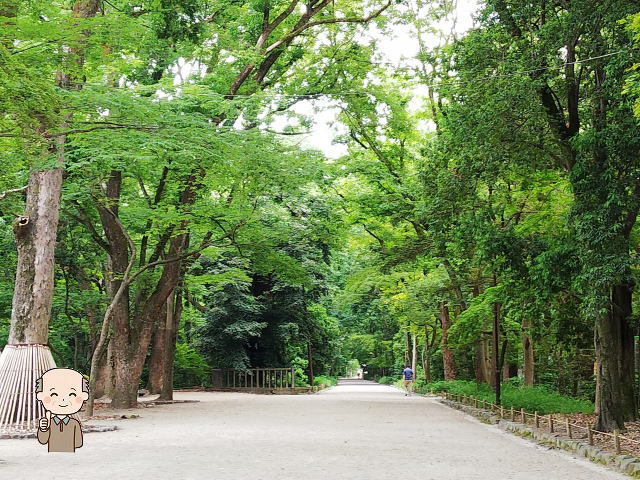 下鴨神社の境内