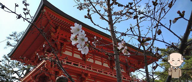 今宮神社