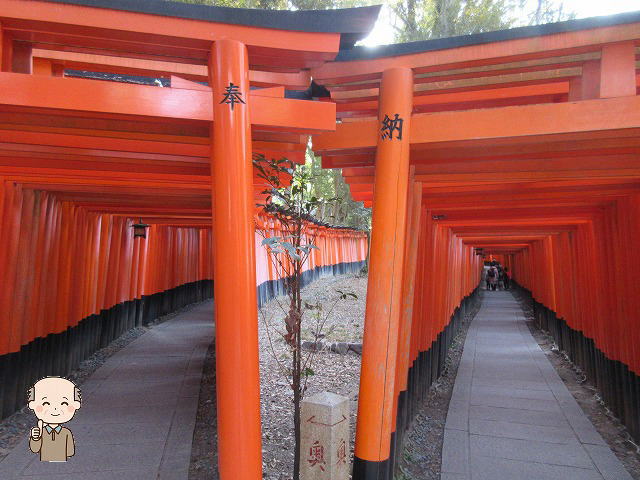 伏見稲荷大社千本鳥居