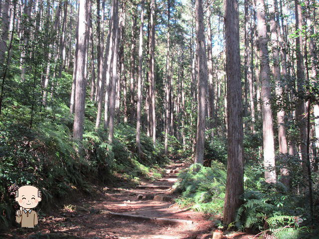 熊野古道の見どころ