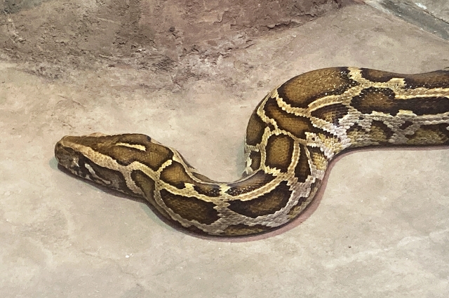 python01-2