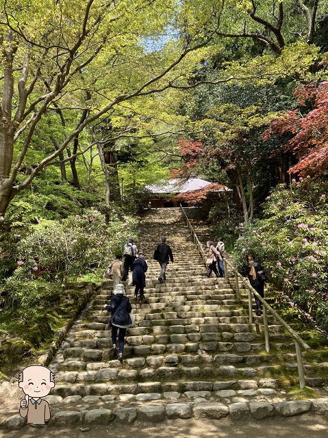 見どころ室生寺鎧坂