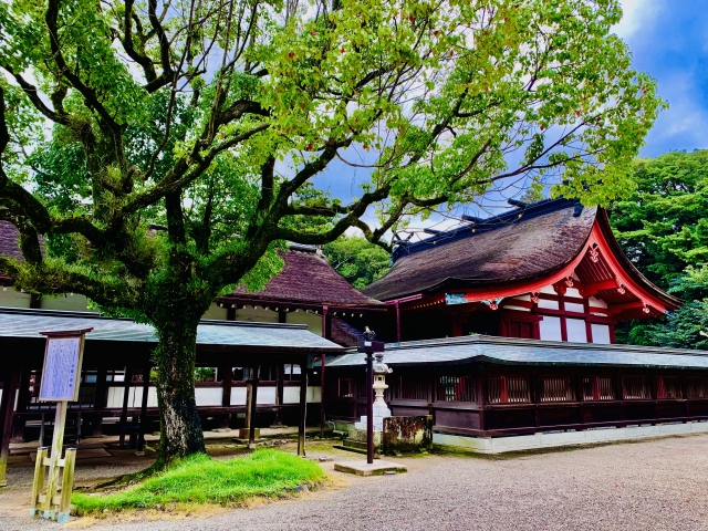 総本社 宗像大社