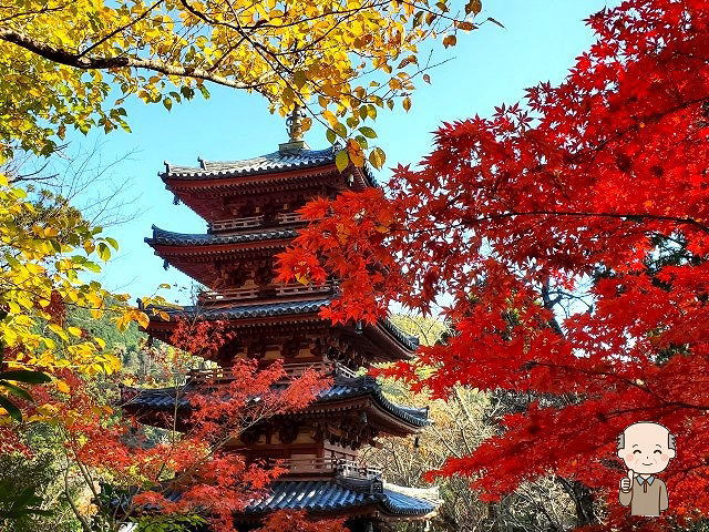 海住山寺の見どころ 紅葉