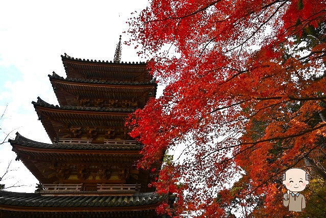 海住山寺の見どころまとめ