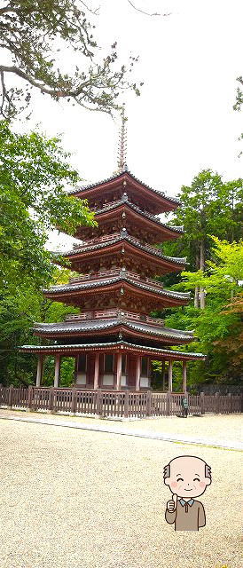 海住山寺の見どころ 五重塔